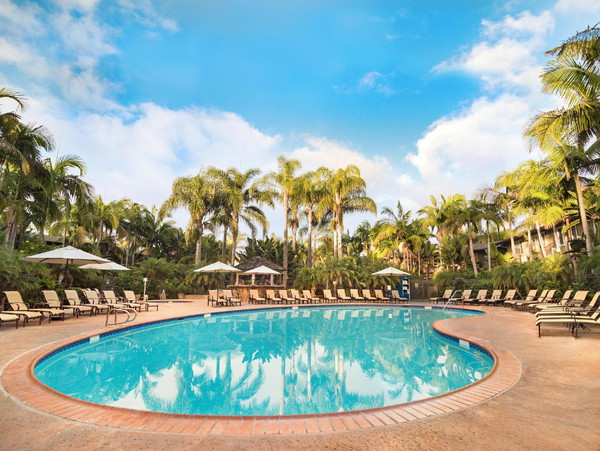 Swimming pool [outdoor]