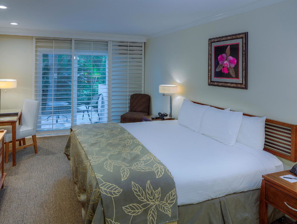 Lanai Room with King Bed - Bed