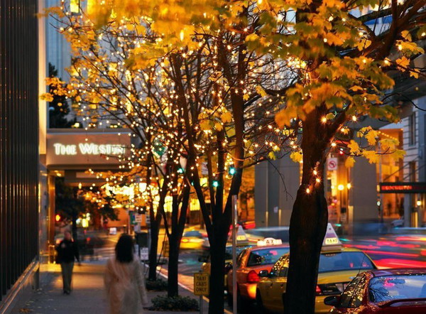 The Westin Seattle