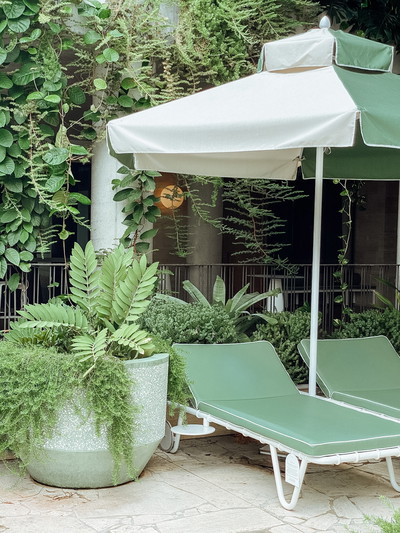 The Calile Hotel