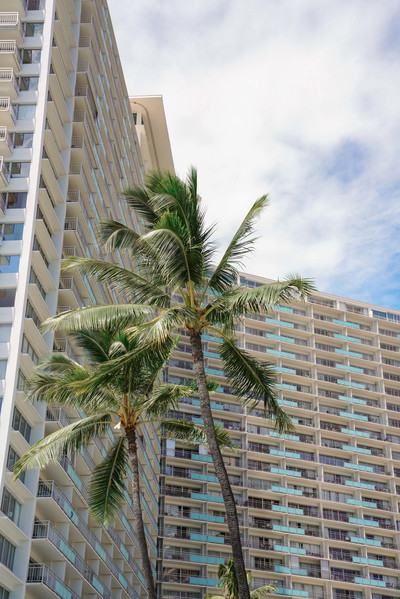 Ilikai Hotel and Luxury Suites
