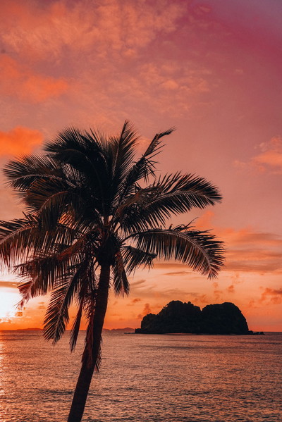 Vomo Island Resort