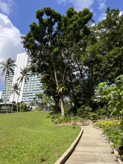 Shangri-La Singapore