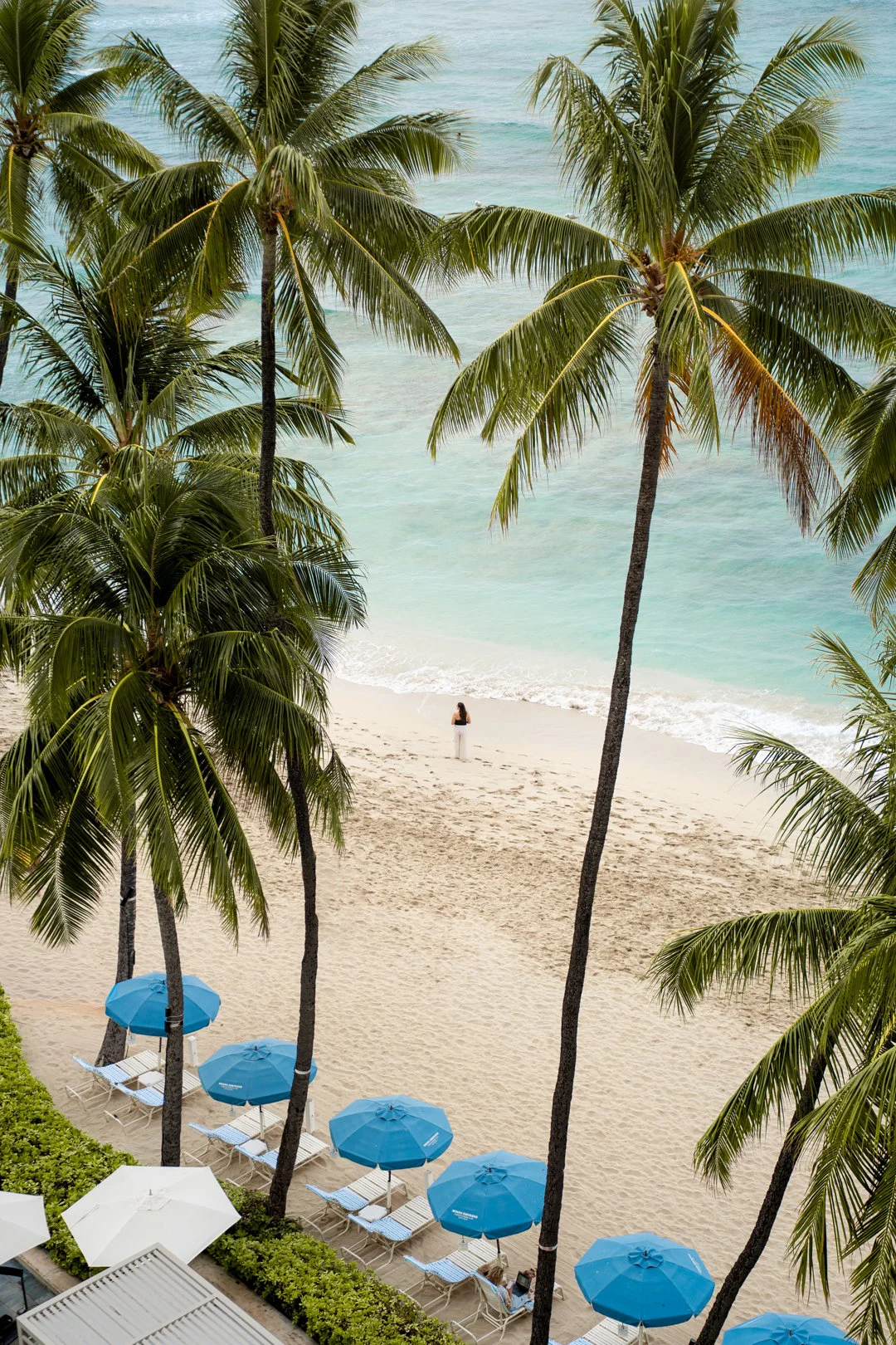 Moana Surfrider