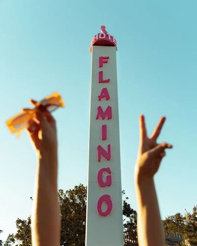 Flamingo Resort